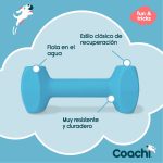 Dumbbell Coachi TRAINING DUMBBELL Blauw L Plastic