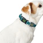 Hondenhalsband Hunter Basic Draad Rood 20