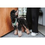 Hondentuigje Hunter Comfort Groen S 42-48 cm